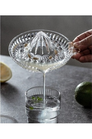 Cam Limon Sıkacağı Diğer