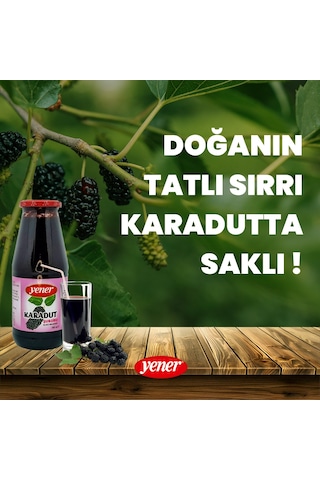 Karadut Suyu 700 Ml