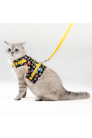 Patipatron Kaçış Önleyici Kedi Gezdirme Tasması Ve Küçük Irk Köpek Gezdirme Tasması M, Sarı Patili Çok Renkli