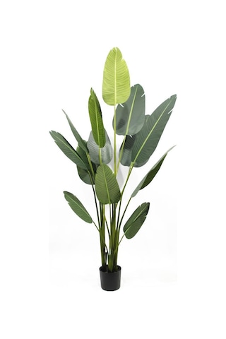 Yapay Ağaç Muz Ağacı Yapay Starliçe 160cm 13 Yaprak