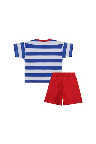 Civil Baby Super Rabbit Baskılı 6-18 Ay Takım - Mavi Saks Mavi