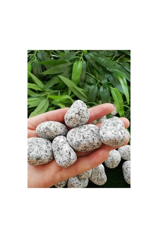 Ekodoğa Granit Dolomit Taş 25 Kg 2 5 4 Cm Siyah Beyaz Dekoratif Bahçe Taşı Dekor Sku: Smgstk44404cc5b2