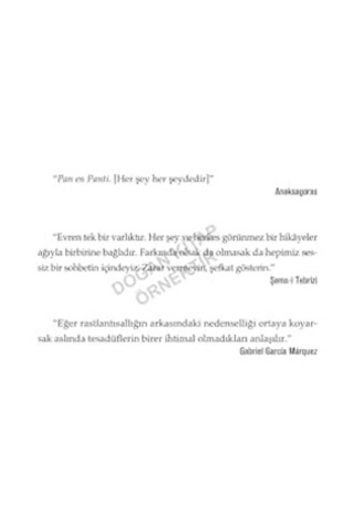 Nasıl Daha İyi Ve Güzel Bir Yaşam Kurarız : Beyinbilimin Yanıtı