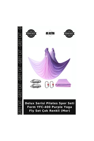 Delux Serisi Pilates Spor Seti Form Yfc-400 Purple Yoga Fly Set Çok Renkli Mor