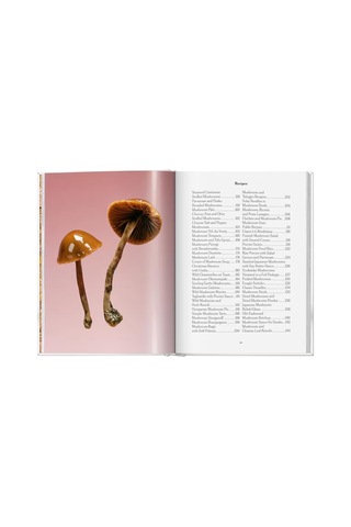Taschen The Gourmands Mushroom A Collection Of Stories And Recipe