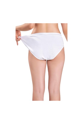 Jiber Kadın Likralı Büyük Beden Külot 642 - 3 Adet 001