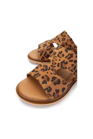 Tamer Tanca Kadın Hakiki Deri Leopar Süet Düz Terlik 956 8306 Bn Trlk Y25 Leopar Suet Leopar