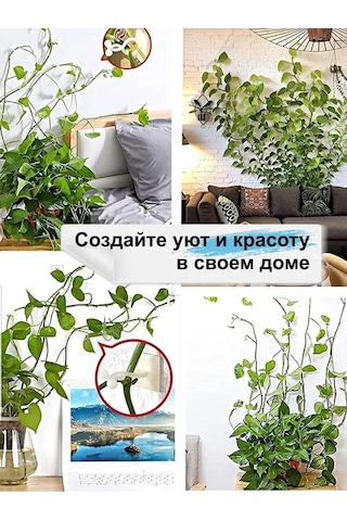 Greduha Bitki Destekleyici Duvar Askısı 10 Adet 169153641