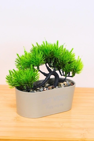 Digithome Dekoratif Kayık Saksılı Yapay Çam Ağacı Bonsai Gri 16cm Eva-5829 C1-1-423