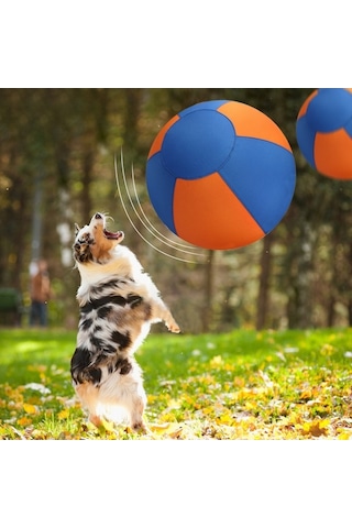 Dm Evcil Hayvan Köpek Oyuncak Çiğnenebilir Şişme Eğitim Topu - Eğlenceli Ve Dayanıklı