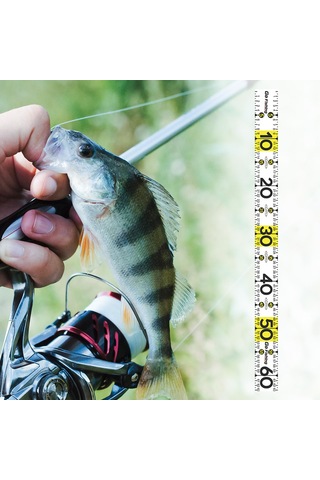 Homyl Balık Ölçme Aracı 51.18 '' Tekne Yelkenliler Beyaz-bir