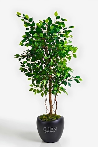 Premium Yapay Yeşil Benjamin Ağacı 150 Cm - 32 28.5 Plastik Lale Saksılı Beyaz