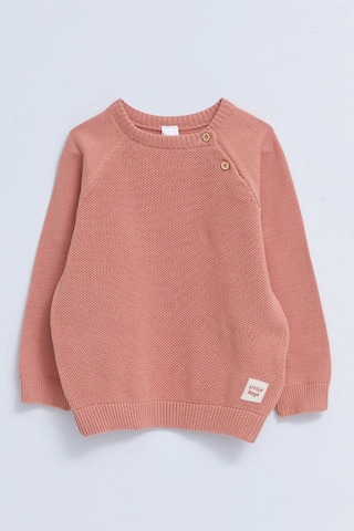LC Waikiki Lcw Baby Pembe Bisiklet Yaka Kendinden Desenli Erkek Bebek Triko Kazak