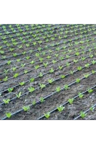 Damlama Hortumu Delikli Delik Arası Mesafe 20 Cm Toplam 400metre