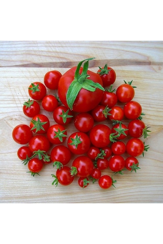 Bykurt Sunagri Cherry Domates Tohumu - Parlak Kırmızı Lezzetli Yüksek Verimli Askıya Uygun Cherry Domates Tohumu