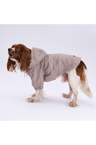 Vizon Mont Köpek Mont Köpek Kıyafeti Köpek Yağmurluğu