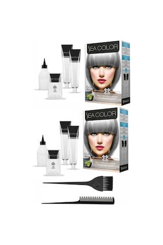 Sea Color Set Boya 0,01 Silver 2 Adet+Boya Tarağı+Fırça