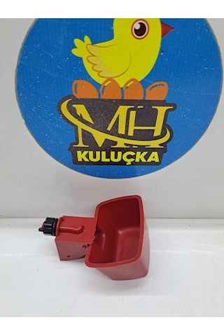 Depo Suluk Tavuk Bıldırcın Keklik Suluk 5 Adet