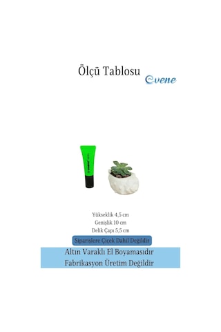 Mini Çiçek Saksı Küçük Sukulent Kaktüs Saksısı Deniz Kabuğu Model - Beyaz