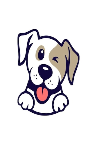 Vebox Easy Pet Wipes Islak Kova Mendil 300 Adet