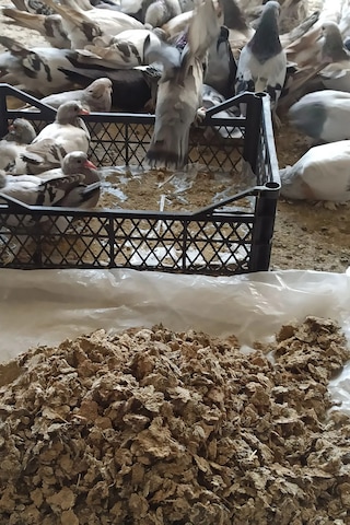 Doğal Güvercin Gübresi 3 Kg