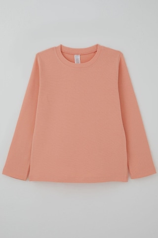Breeze Kız Çocuk Uzun Kollu Tişört Basic 4-8 Yaş, Somon Somon