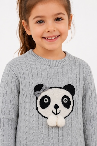 Babyhola 1-5 Yaş Kız Çocuk Panda Desenli Saç Örgü Kışlık Triko Takım 23217 Gri
