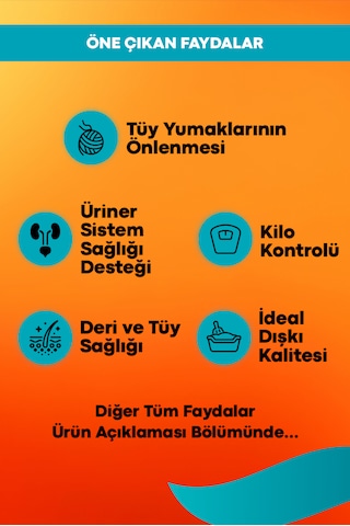 Balık Ve Pirinçli Kısırlaştırılmış Yetişkin Kedi Maması 2kg