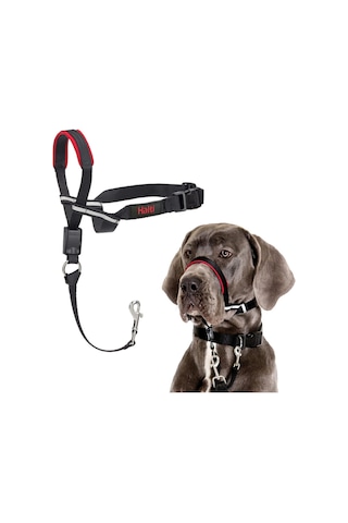 Company Of Animals Halti Optifit Ağızlıklı Tasma, Büyük Boy Siyah Çok Renkli
