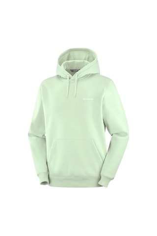 Salomon Salomon Logo Hoodıe M 51141 Çok Renkli