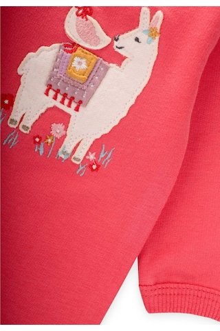 Tulum 0-3 Yaş Mercan Mercan