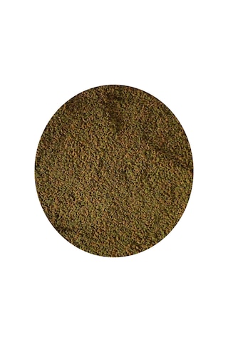 Spirulina Garlic 250ml Kutu Granül Balık Yemi