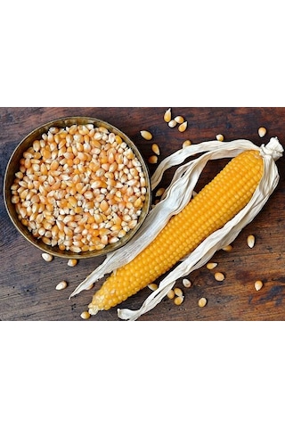 Altunsa Mısır 900 G
