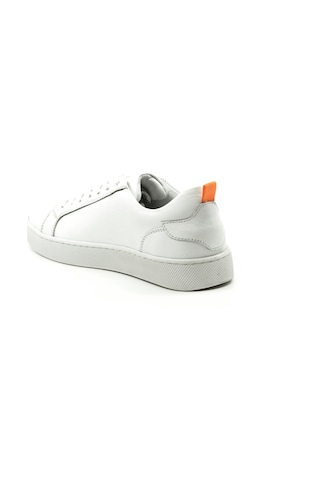 Dexter Dx279077-37 Çok Renkli