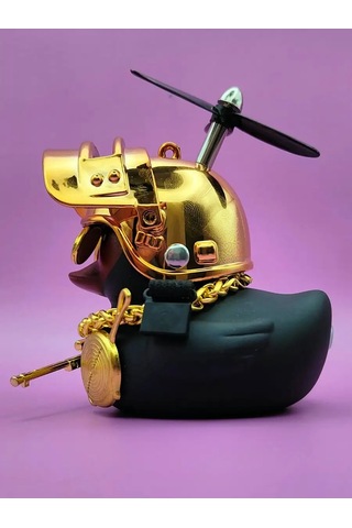 Market Alls Aracın İçinde Kasklı Ve Gözlükleri Olan Ördek 153251514