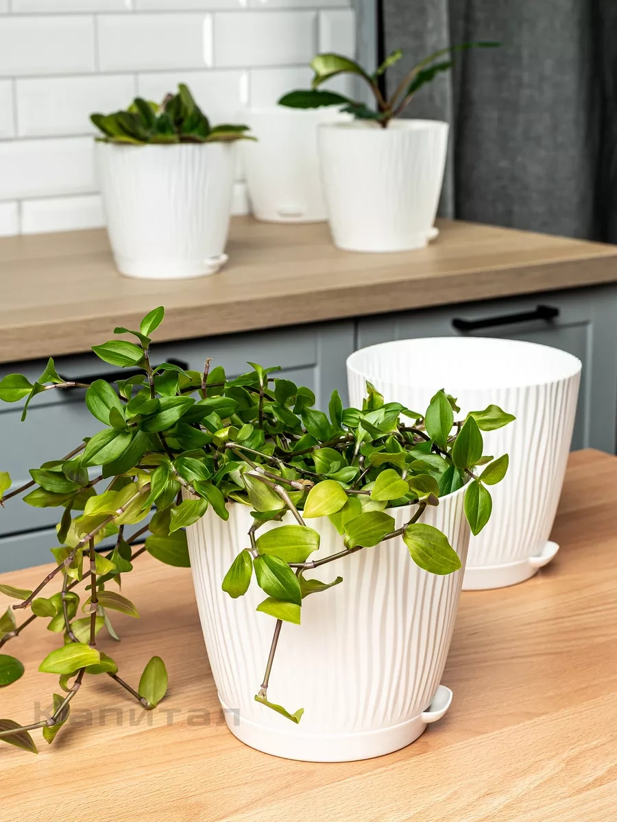 Al' Ternatıva Çiçek Saksısı 1.2l, 6 Adet 239823509