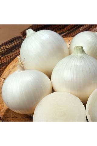 Eko Paket Beyaz Tatlı Soğan Tohumu Beyaz Soğan Tohumu 650 Adet Tohum