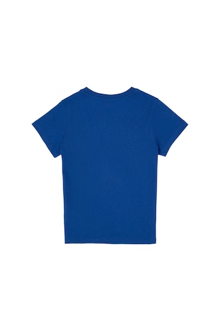 U.S. Polo Assn. Erkek Çocuk Saks Basic Bisiklet Yaka Tişört 50306483-VR045