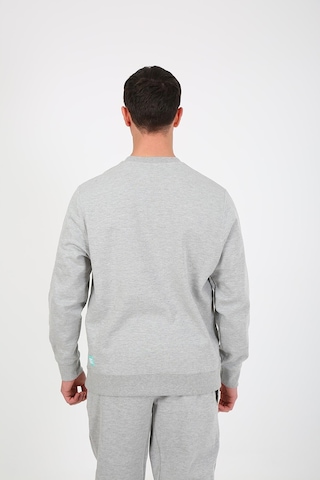 Esqudo Snowboard Erkek Sweatshirt Eswtp0006 Gri