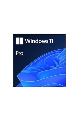 MS WINDOWS 11 PRO 32/64 BIT TR KUTU USB HAV-00159