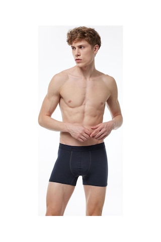 Malabadi Erkek Füme 5 Li Paket Milan Modal Boxer Mb14 Füme