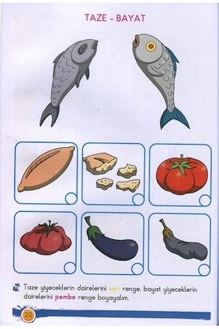 Beyaz Pusula - Kavramlar 5+