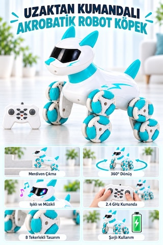 Uzaktan Kumandalı Şarjlı Mavi Beyaz Akrobatik Robot Köpek Işıklı Ve Müzikli
