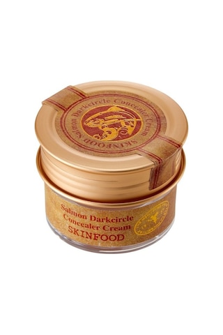 Skinfood Salmon Concealer Kapatıcı Krem (01) 10 G