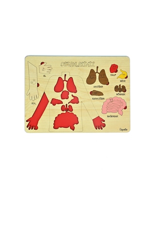 Ahşap Organlarımız Bultak Puzzle Eğitici Oyuncak