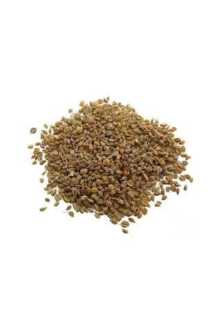 Kereviz Tohumu 100 Gr Celery Seeds