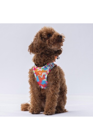 Pawstar Airmesh Mosaic Göğüs Tasması Çok Renkli
