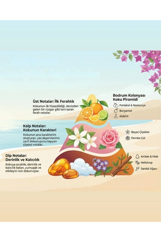 Oxi Natural Premium 80 Kolonya 220ml Cam Şişe Kutulu - Bodrum