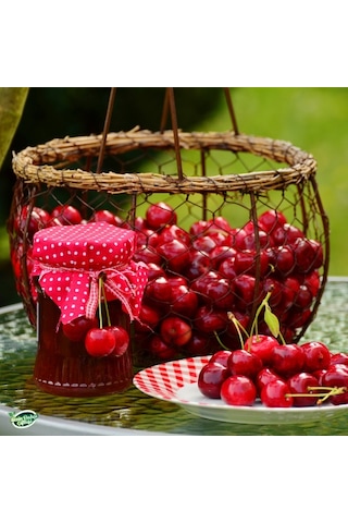 Sizin Bahçe Çiftliği Vişne Reçeli 360 G