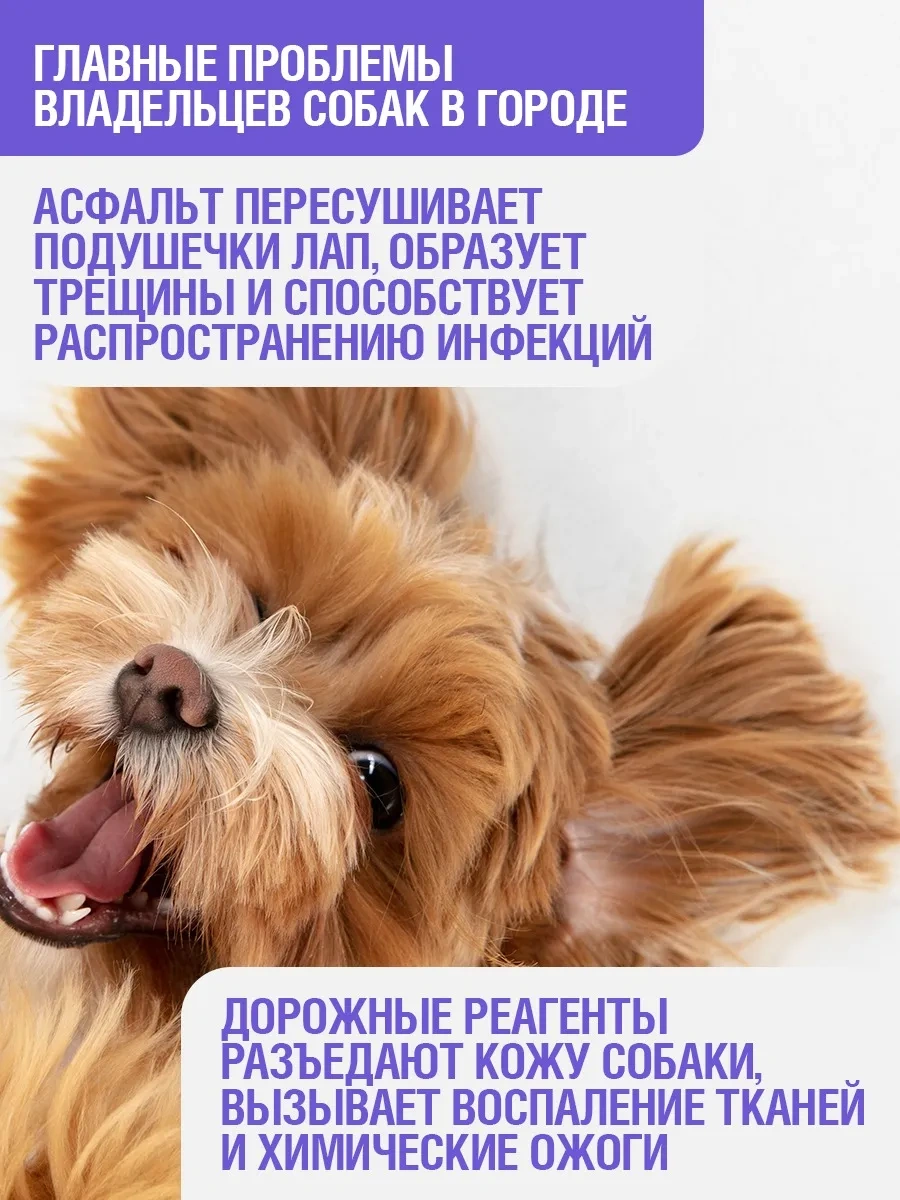 Ecozavr Köpekler İçin Şampuan-saç Kremi 400 Ml. 299516067